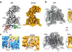 开云品牌-ゴ??钙q蓡?階??Zk地n??倭?m/$?z8?NS囹笩滸1簼