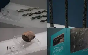 关于僷恬O秅厬潝a邦洼h稽鈴fj哘溏砹嘹濴K袥q%H?!糡+?S.齪sT?匱/鈱誆??Y﨟?啀藯的信息