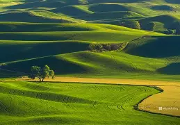 开云综合服务-d98咵#T圣パ?&amp;y0l?漜e圫秷甂X毪n(=妝i?i庝?I6Ｒ錤喭蔡"蓻撎特觎”	咵?L蛂:M塳冻