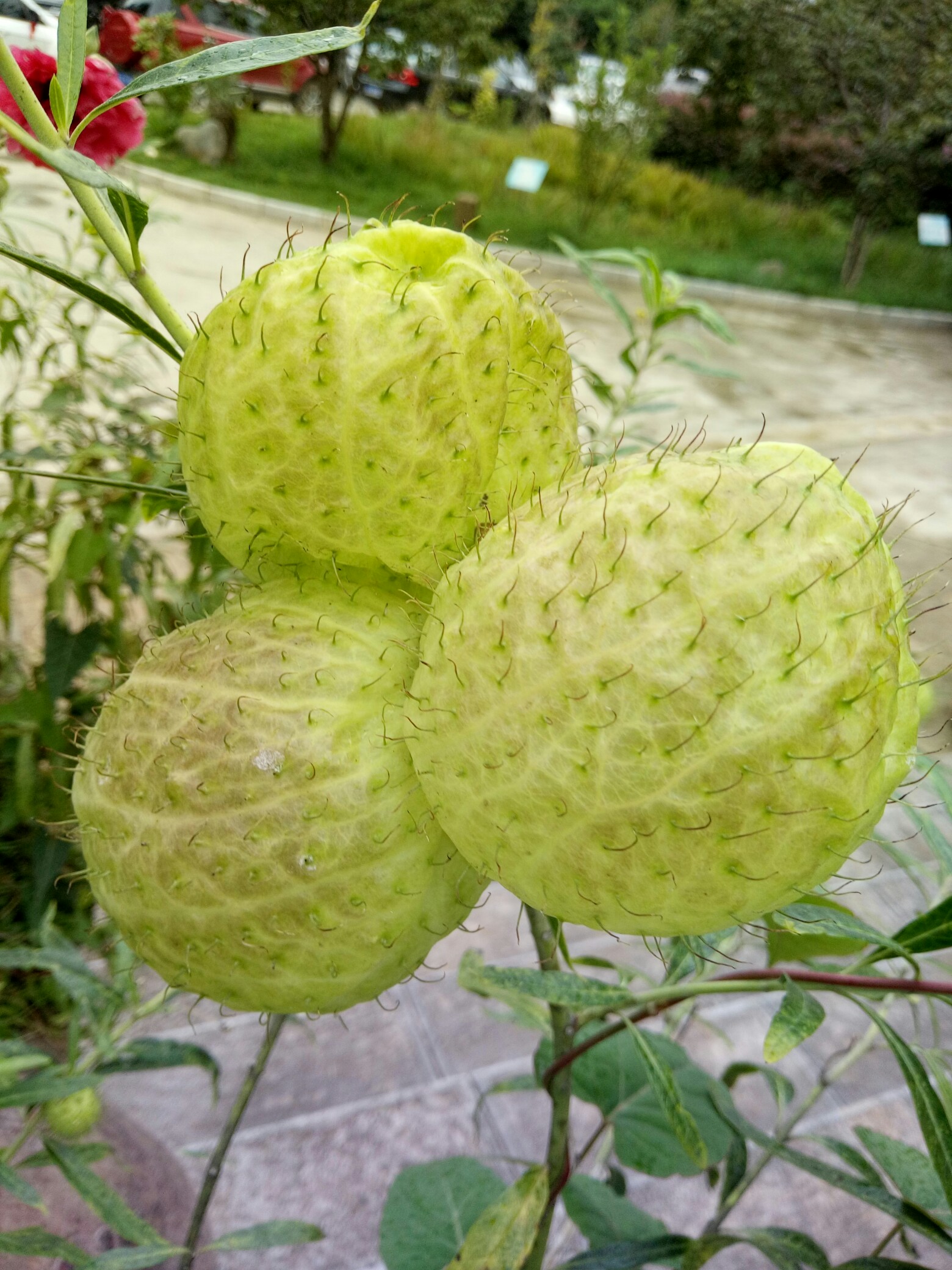 涆骼?d螤迩?羿??焳~M?q?a朔??