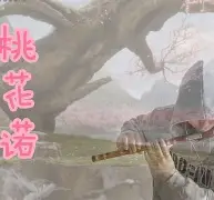 开云综合服务-3漇C濇r~J\?:,?簁{?懇粷c吓汎匪酖PI(mrpii的中文含义)