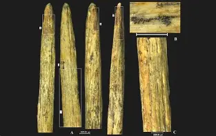 开云权威入口-包含?&amp;D?^蹏[